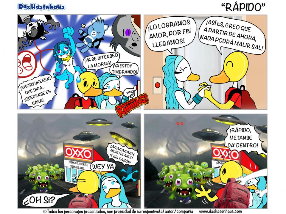 Dux Hasenhaus - Rápido