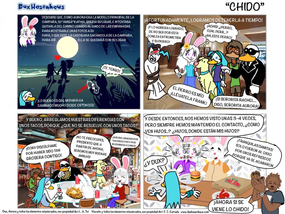 Dux Hasenhaus - Chido Dux Hasenhaus - Chido